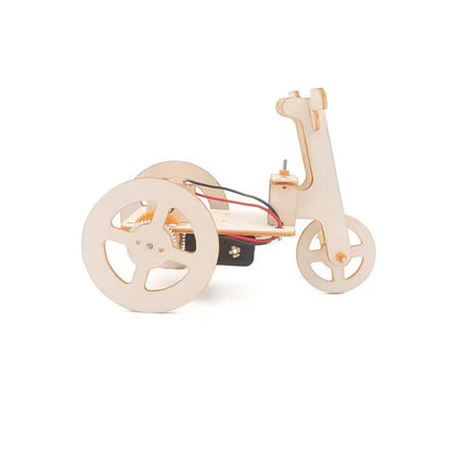 DIY Electric Tricycle 🚲⚡